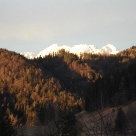 Apartma Podlogar Golica Triglav Apartment Jesenice Bagian luar foto