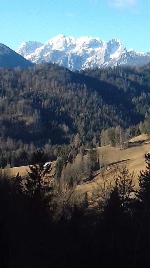 Apartma Podlogar Golica Triglav Apartment Jesenice Bagian luar foto