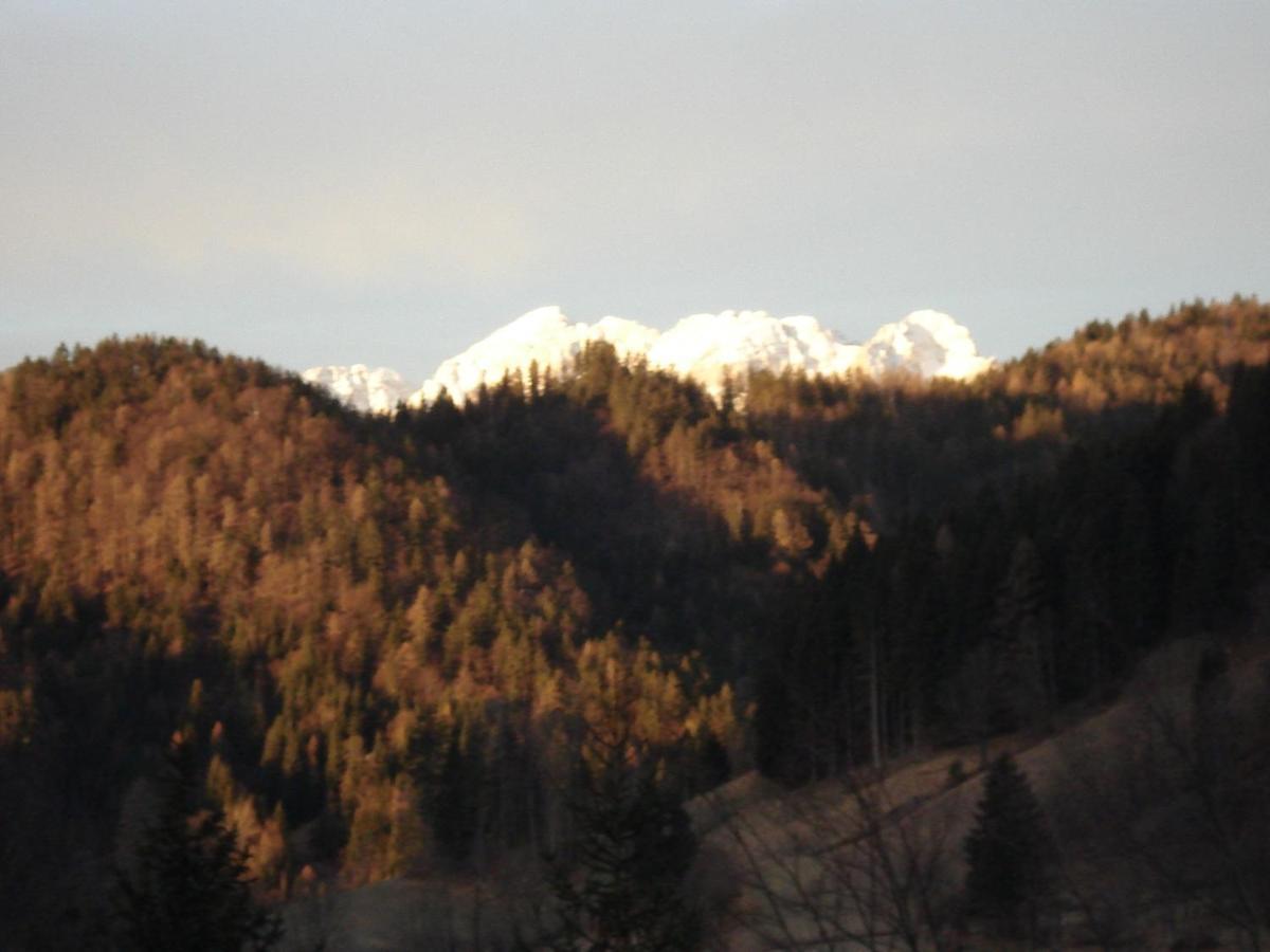 Apartma Podlogar Golica Triglav Apartment Jesenice Bagian luar foto
